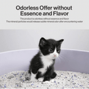 Bentonite Cat Litter - 6 kg - J & J Pet Club - Pidan