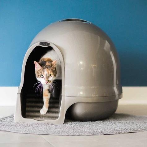 Booda Cleanstep Litter Dome for Cats - J & J Pet Club - Petmate