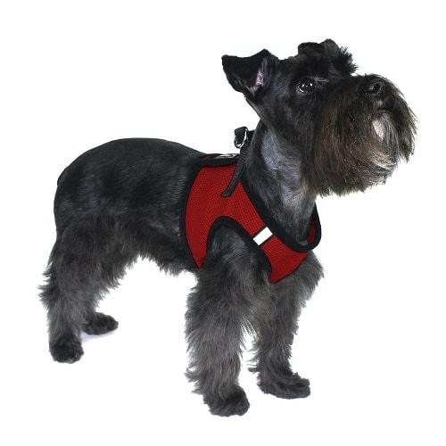 Boston Nylon Mesh Step-In Harness with Removable Velcro Patch - J & J Pet Club - Dogline