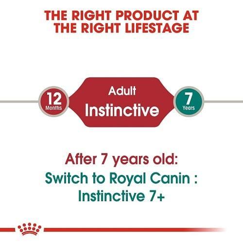 Canned Cat Food - Adult Instinctive - Thin Slices in Gravy - 3 oz - J & J Pet Club - Royal Canin