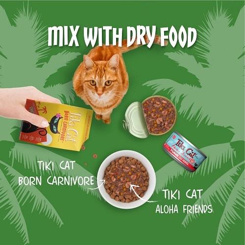 Canned Cat Food - ALOHA FRIENDS - Variety Pack - 3 oz can, case of 12 - J & J Pet Club - Tiki Cat