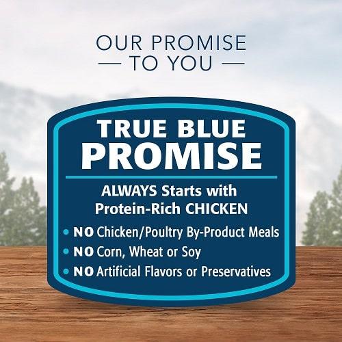 Canned Cat Food - BLUE Wilderness - Kitten - Chicken - 3 oz - J & J Pet Club - Blue Buffalo