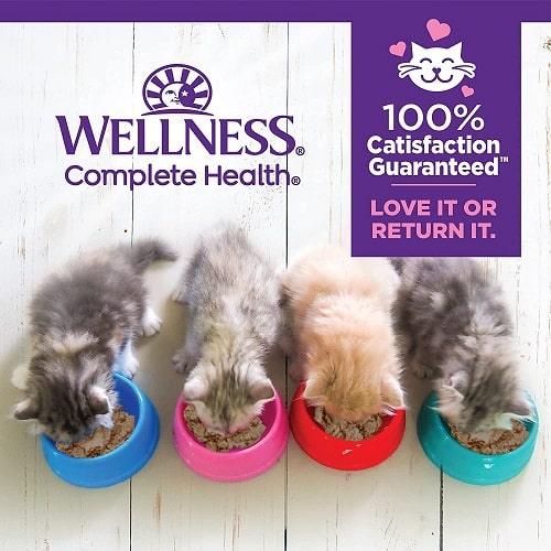 Canned Cat Food - COMPLETE HEALTH - Kitten Pâté - Chicken Entrée - J & J Pet Club