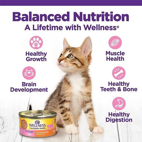 Canned Cat Food - COMPLETE HEALTH - Kitten Pâté - Chicken Entrée - J & J Pet Club