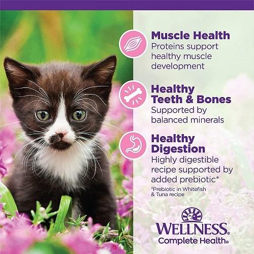 Canned Cat Food - COMPLETE HEALTH - Kitten Pâté - Chicken Entrée - J & J Pet Club - Wellness