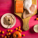 Canned Cat Food - FOUR STAR - Chicken, Duck, & Salmon Pâté - 5.5 oz - J & J Pet Club - Fromm