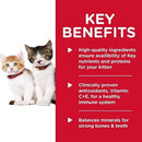 Canned Cat Food - Kitten - Liver & Chicken Entrée - J & J Pet Club - Hill's Science Diet