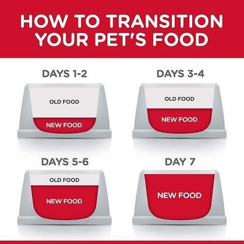 Canned Cat Food - Kitten - Tender Chicken Dinner - 5.5 oz - J & J Pet Club - Hill's Science Diet