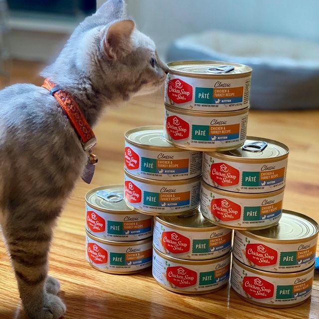 Canned Cat Food Kitten Chicken Turkey P t J J Pet Club