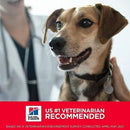 Canned Dog Food - Adult - Perfect Weight - Chicken & Vegetable Entrée - 12.5 oz - J & J Pet Club - Hill's Science Diet