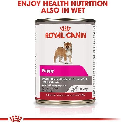 Canned Dog Food - Puppy All Breeds - Loaf in Sauce - 13.5 oz - J & J Pet Club - Royal Canin