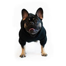 Casual Haze Hoodie - Black - J & J Pet Club - Woof Concept