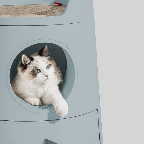 Cat Castle Little Box Set (Litter Box + Scratch Basin + Scratcher + Scoop) - J & J Pet Club - Mayitwill