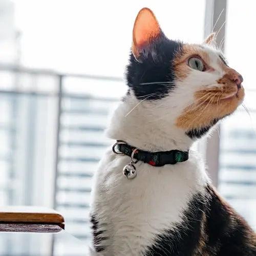 Cat Collar - NEKO COLLECTION - Maui - J & J Pet Club - Woof Concept