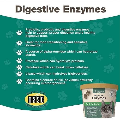 Cat Digestive Supplement - Digestive Enzymes Soft Chews with Prebiotics & Probiotics - 60 ct cup - J & J Pet Club - Naturvet
