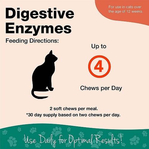 Cat Digestive Supplement - Digestive Enzymes Soft Chews with Prebiotics & Probiotics - 60 ct cup - J & J Pet Club - Naturvet