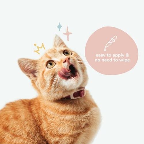 Cat Ear Cleaner - Kitty Ears - 4 oz - J & J Pet Club - Kin+Kind