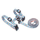 Cat Harness & Leash Set - J & J Pet Club - Pidan