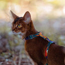 Cat Harness & Leash Set - J & J Pet Club - Pidan