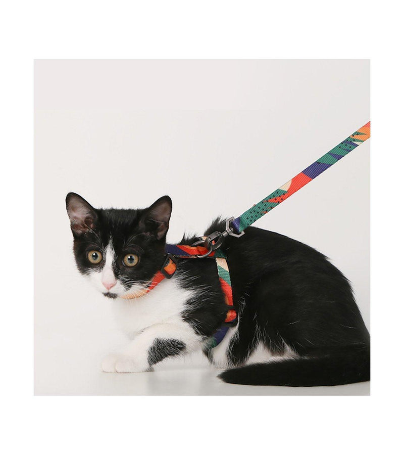 Cat Harness & Leash Set - J & J Pet Club - Pidan