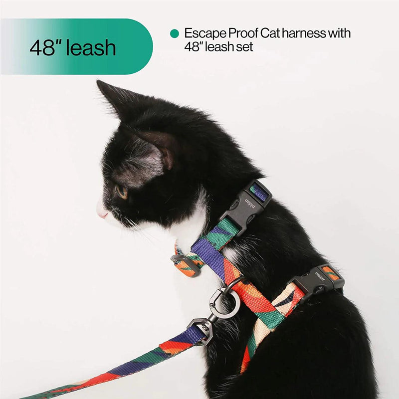 Cat Harness & Leash Set - J & J Pet Club - Pidan