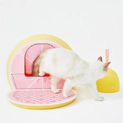 Cat Litter Box - Fruity Kitty Kove - Grapefruit - J & J Pet Club - Vetreska