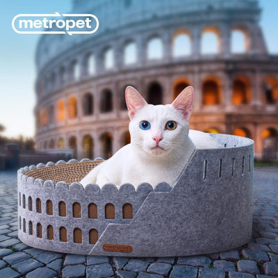 Cat Scratcher - Colosseum Type - J & J Pet Club - Metropet
