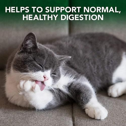 Cat Supplement - Hairball Relief Digestive Aid - 60 Tabs - J & J Pet Club - Vet's Best
