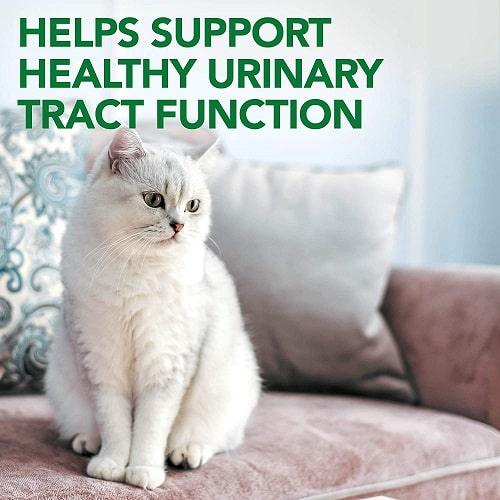 Cat Supplement - Urinary Tract Support - 60 Tabs - J & J Pet Club - Vet's Best