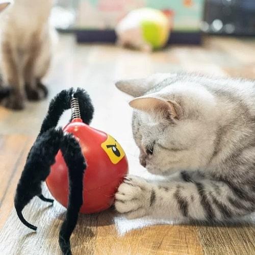 Cat Toy - Automatic Cat Teaser - Mr. Ninja - J & J Pet Club - FOFOS
