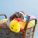 Caterpillar - Deluxe with 6 Blaster Squeakers - J & J Pet Club - ZippyPaws