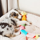 Caterpillar - Deluxe with 6 Blaster Squeakers - J & J Pet Club - ZippyPaws