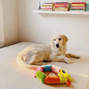 Caterpillar - Deluxe with 6 Blaster Squeakers - J & J Pet Club - ZippyPaws