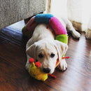 Caterpillar - Deluxe with 6 Blaster Squeakers - J & J Pet Club - ZippyPaws