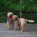 Caterpillar - Deluxe with 6 Blaster Squeakers - J & J Pet Club - ZippyPaws