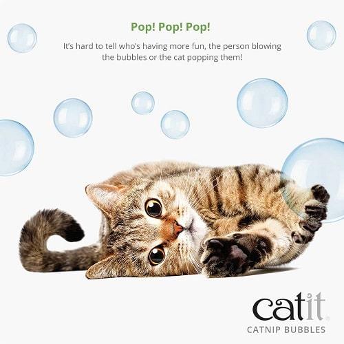 Catnip Bubbles - 142 ml (5 oz) jar - J & J Pet Club - Catit