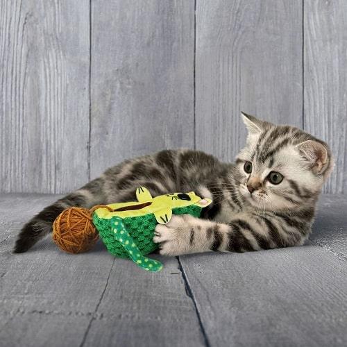 Catnip Cat Toy - Wrangler - AvoCATo - J & J Pet Club - Kong