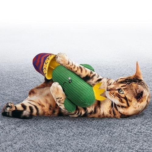 Catnip Cat Toy - Wrangler - Cactus - J & J Pet Club - Kong