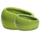 Ceramic Ergonomic Dish - Green - J & J Pet Club - Living World
