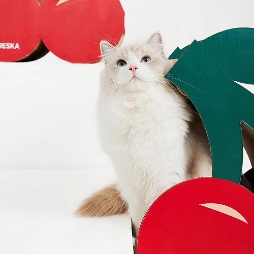 Cherry Cat Scratcher - J & J Pet Club - Vetreska