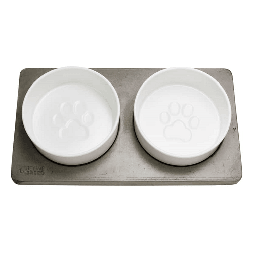Concrete and Ceramic Bowls - Bowl Duo On Concrete - J & J Pet Club - Be One Breed