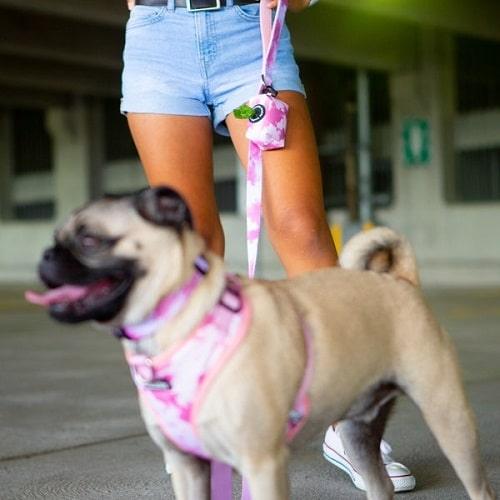 Control Dog Harness - Blush Pink - J & J Pet Club - Bcuddly