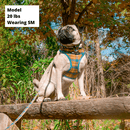 Control Dog Harness - Cozy Plaid - J & J Pet Club - Bcuddly