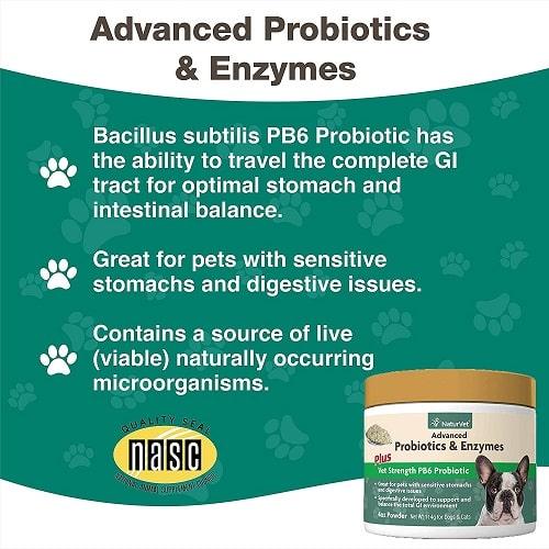 Digestive Supplement - Advanced Probiotics & Enzymes Powder (Plus Vet Strength PB6 Probiotic) - J & J Pet Club - Naturvet