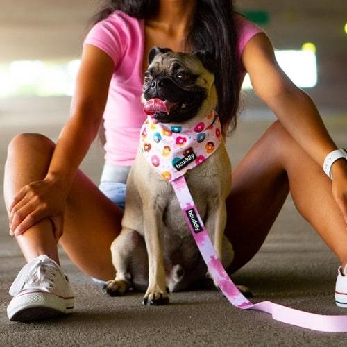 Dog Bandana Blush Pink Donut Run – J J Pet Club - Main Image