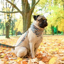 Dog Bandana - Cozy Plaid / Herring Bone - J & J Pet Club - Bcuddly