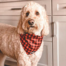 Dog Bandana - Red Plaid Classic / Black Paisley - J & J Pet Club - Bcuddly