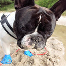 Dog Boots - M - J & J Pet Club - Pawz