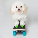 Dog Boots - Tiny - J & J Pet Club - Pawz