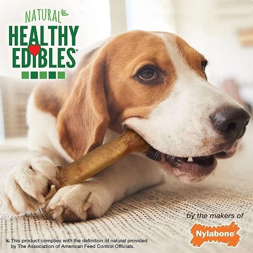 Dog Chew - Healthy Edibles - All Natural Roast Beef - Twin Pack - J & J Pet Club - Nylabone